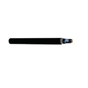 RR Kabel Pair-Shielded Instrument Cable 2.5 Sq.mm 300V - 100 m