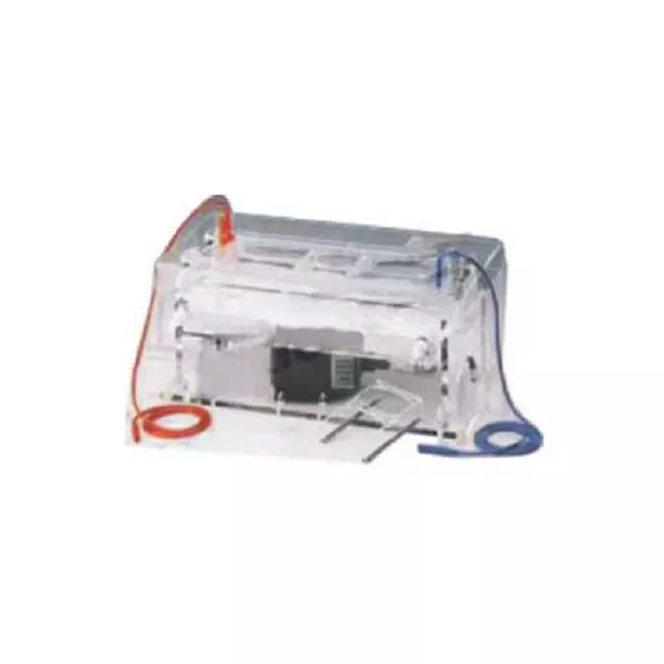 Scientech SE-207 Horizontal Submarine Electrophoresis System